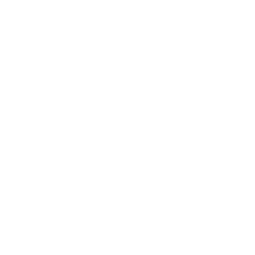 light logo